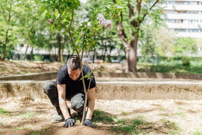 Secteur professionnel : Aménagements Paysagers & Espaces Verts
